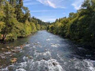 View of Willamette River from Greenwaters Park in Oakridge Oregon