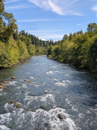 View of Willamette River from Greenwaters Park in Oakridge Oregon