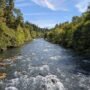 View of Willamette River from Greenwaters Park in Oakridge Oregon
